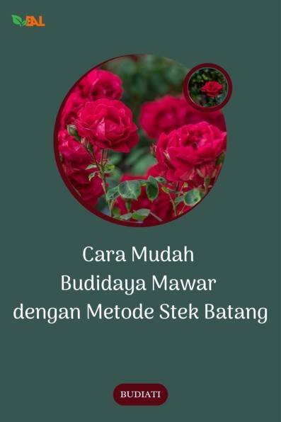 Cara Mudah Budidaya Mawar dengan Metode Stek Batang
